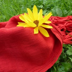 Rebozo