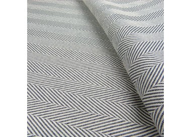 Didymos lisca grigio