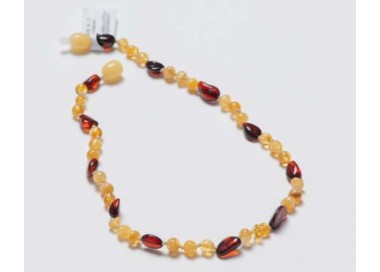 Collier d'ambre adulte rainbow